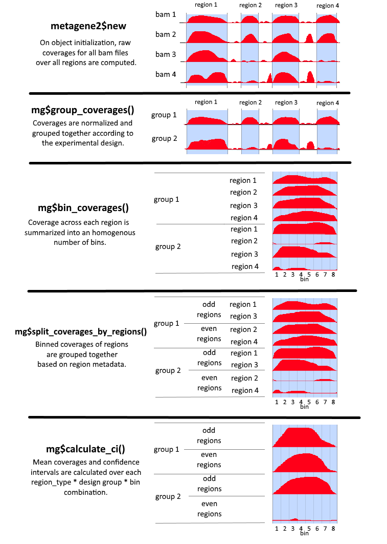 schematic representation of processing steps